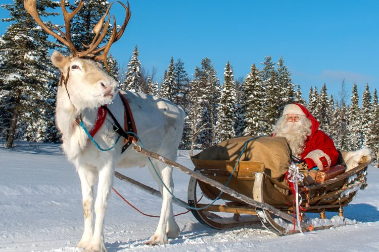 Поездка в санях на оленях Санта Клауса у Ритавары в Пелло в Лапландии. Фото: Travelpello.fi